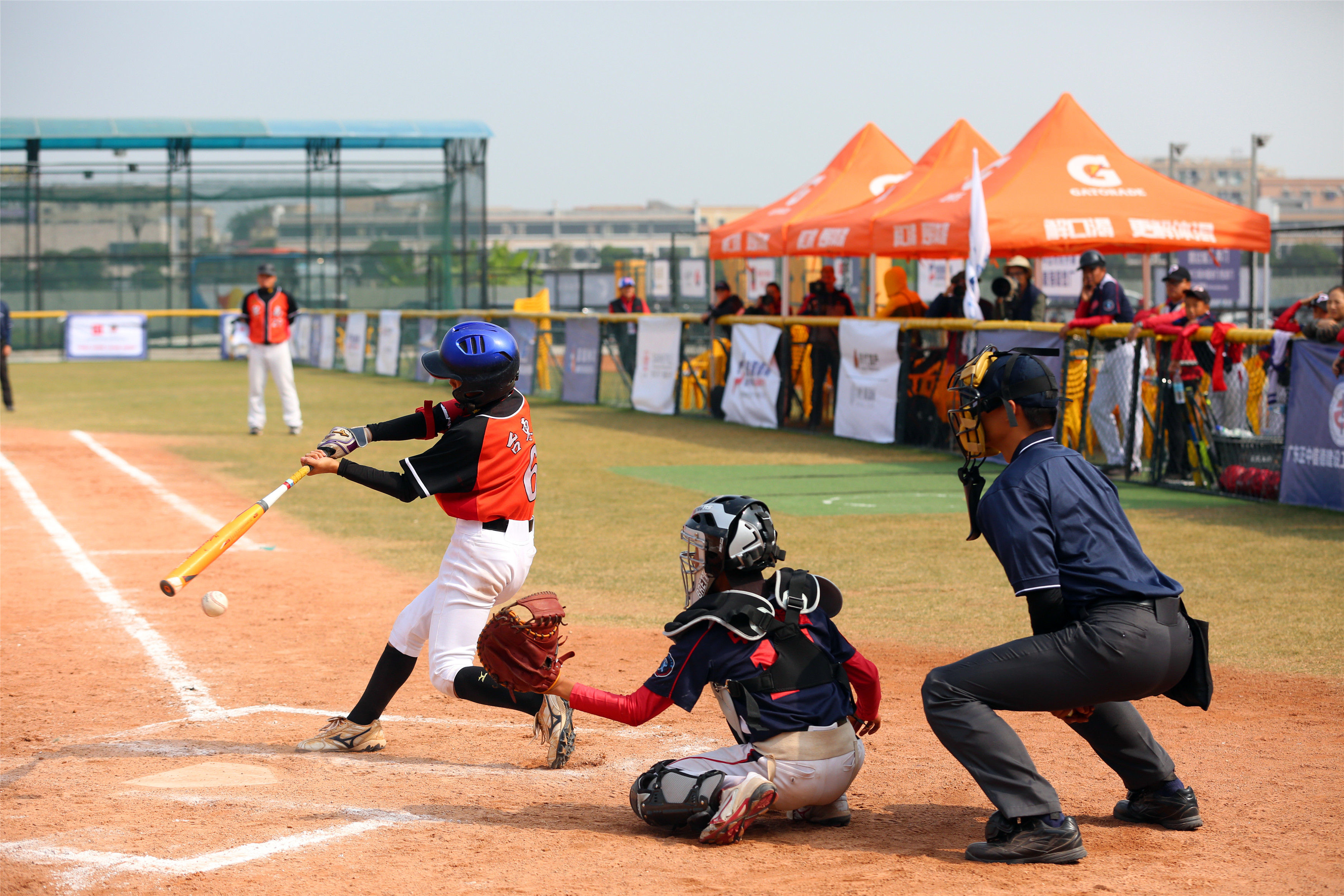 各路专家助力打造国际棒球小镇，2017中山熊猫杯少年棒球锦标赛昨日开赛!