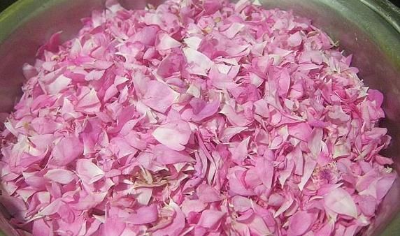 东凤三月春光好东凤荼薇花正开