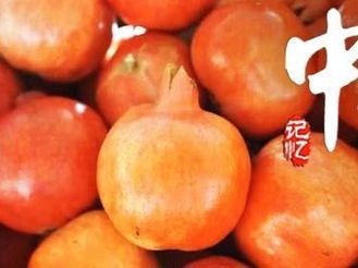 中山记忆66：这里是广东省第一批“特色水果之乡”——中山市坦洲镇