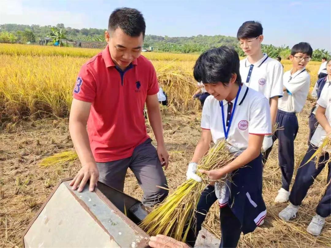 劳动乐趣!中山一中组织学生参与体验农事农活!