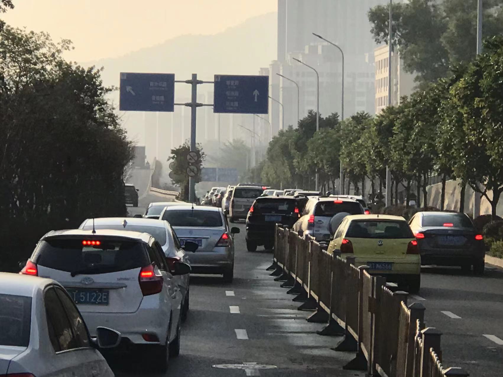 双林南之路占道停车导致交通拥堵-群众呼声-四川省网上群众工作平台-成都市委书记