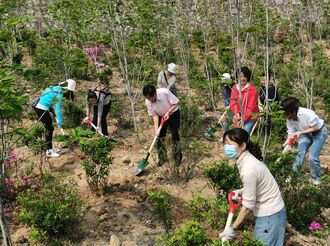 南朗镇举办“共筑同心梦  齐植同心林”植树活动
