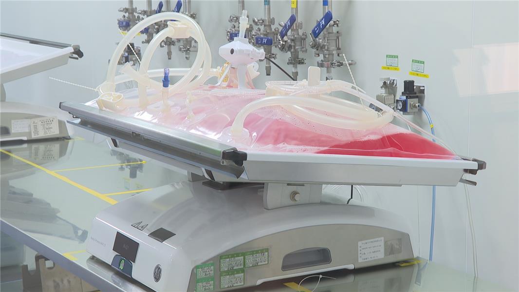 数字医用英文怎么拼新闻中心 ＞ 本地新闻_https://www.jmylbn.com_新闻资讯_第4张