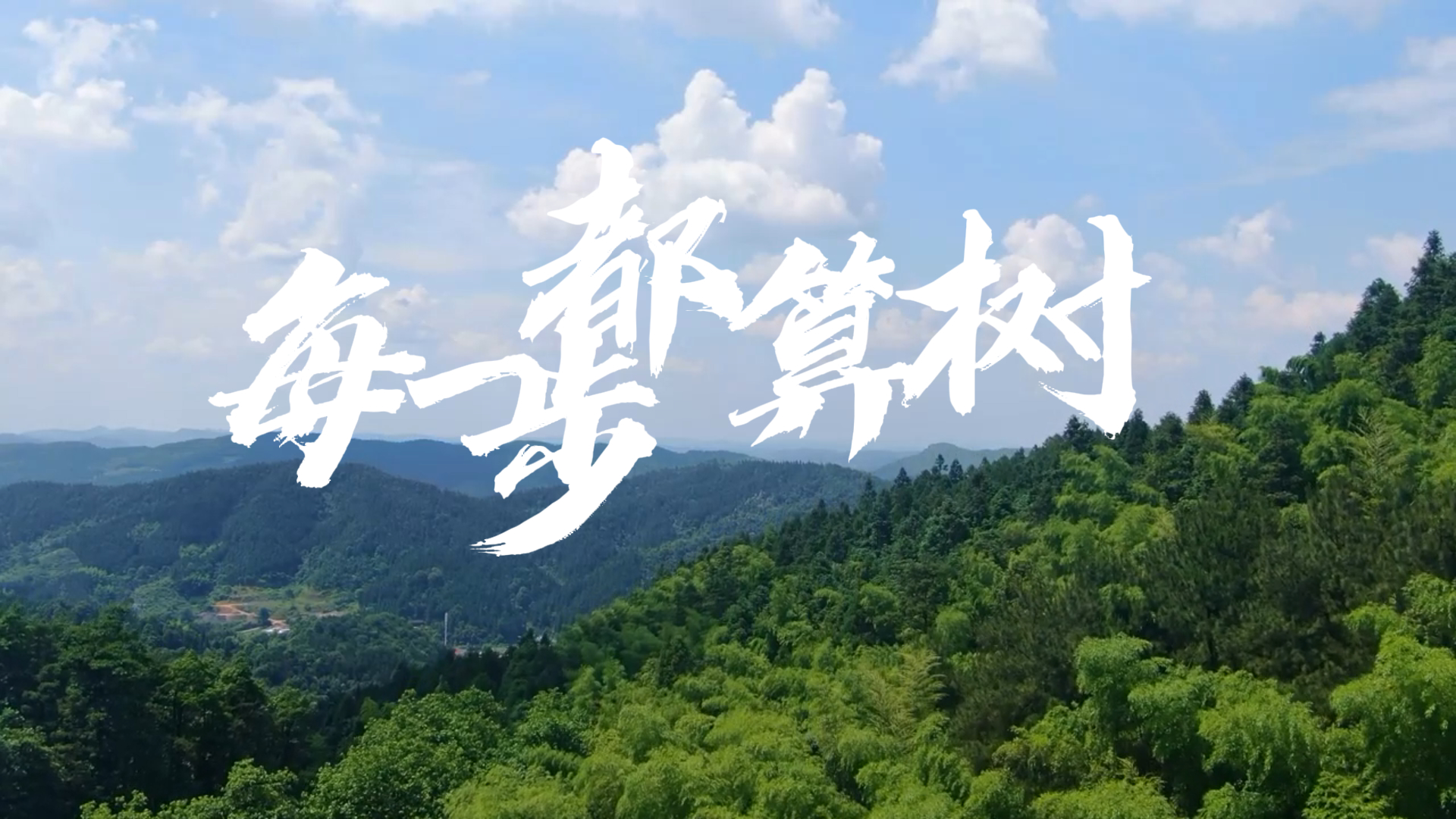 广东共青团原创绿美主题MV《每一步，都算树》正式发布
