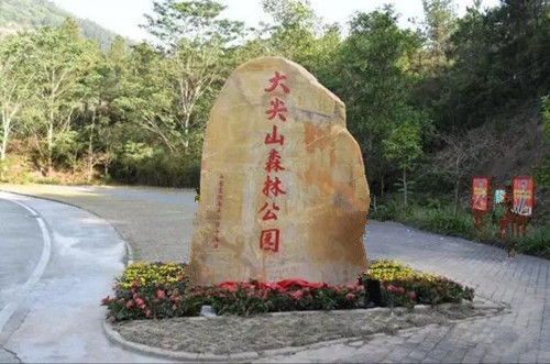 据林业站介绍,2017年五桂山办事处将继续投入大量资金,完善大尖山森林