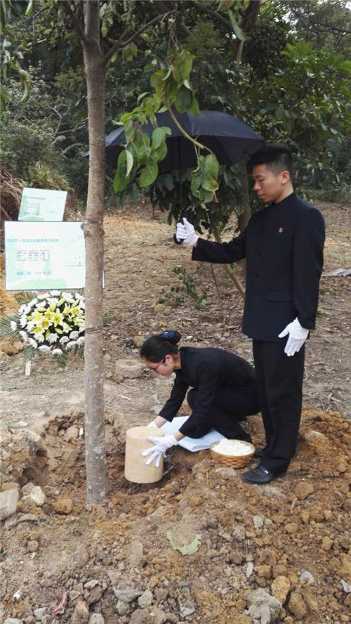"魂系绿荫,爱遗人间"—— 中山三位人体器官捐献者骨灰今日树葬