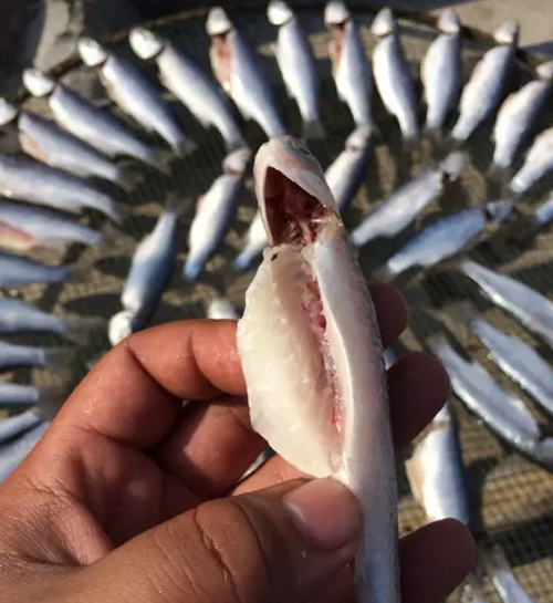 在中山,有一种用南朗一个地名来命名的食物&mdash;&mdash;横门蚬鱼