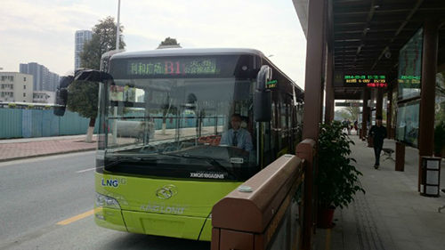 加密班次,改道……很多公交线路有变!