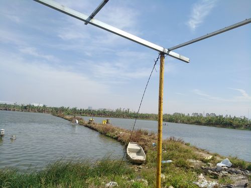 合同期内承包鱼塘被填原来事出有因