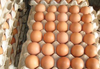 最新7批次食用农产品抽检不合格你帮衬过吗