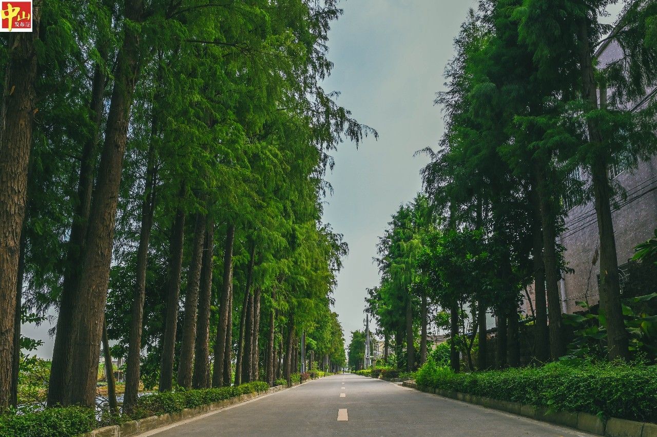 是许多中山人假期出行的热门选择 ——神湾镇竹排村 马上长按二维码或