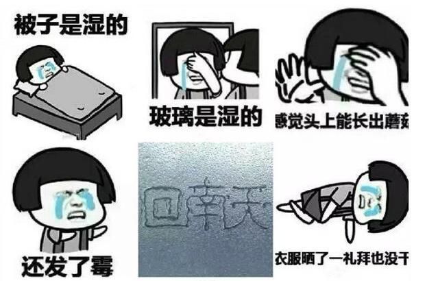 下雨就下吧,还那么冷,冷也罢了,回南天还来凑热闹,中山已进入凌乱的