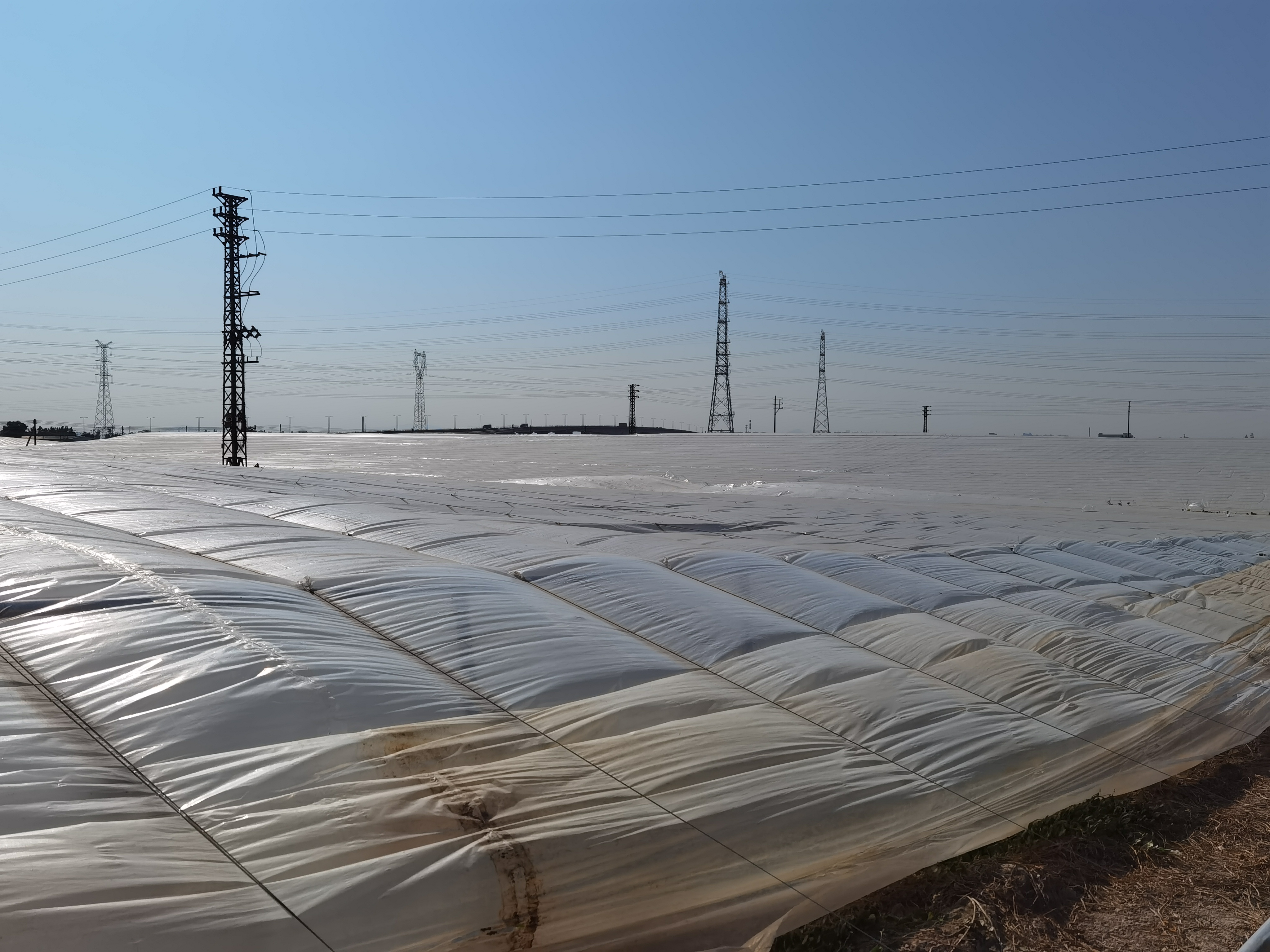 "在这个位于三角镇水产养殖场,记者见到所有的鱼塘都