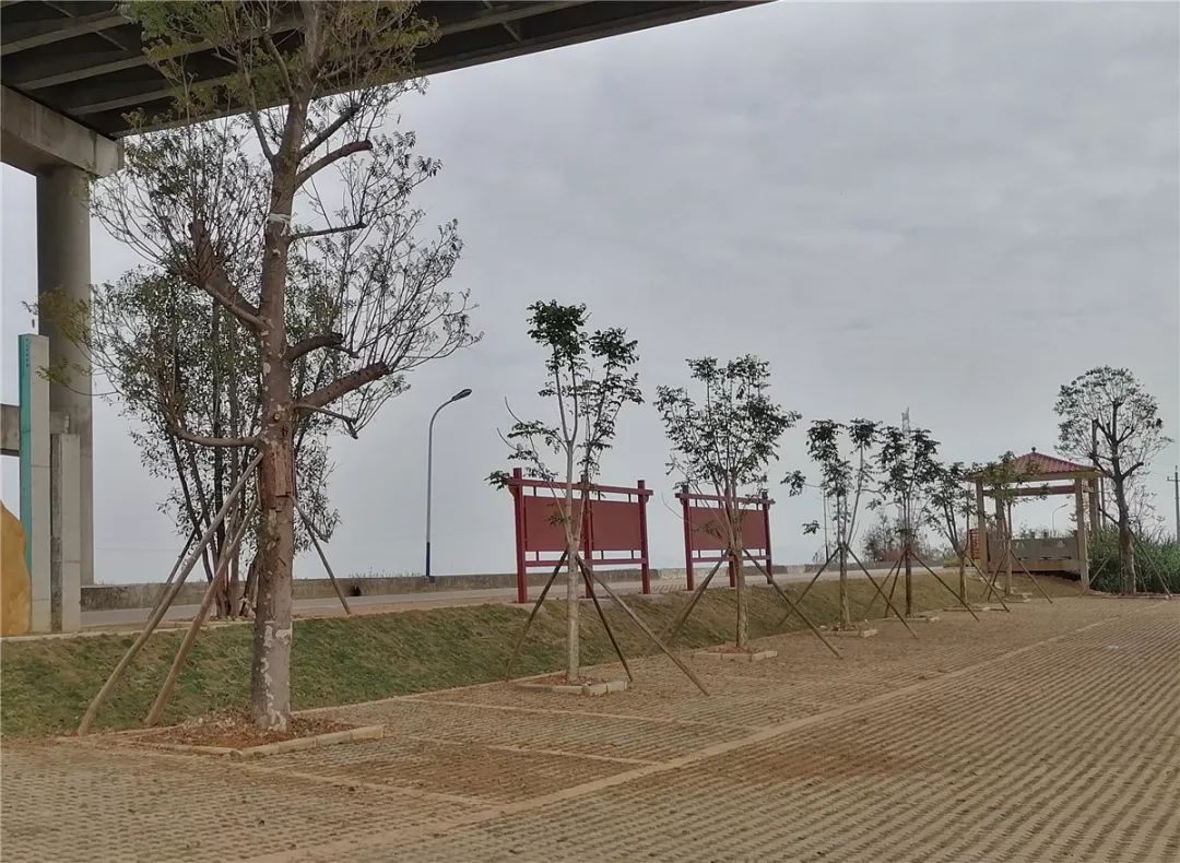 竹排湿地公园位于神湾镇竹排村东南部,规划面积约2500亩,充分利用现有