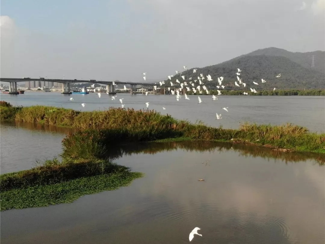 竹排湿地公园位于神湾镇竹排村东南部,规划面积约2500亩,充分利用现有