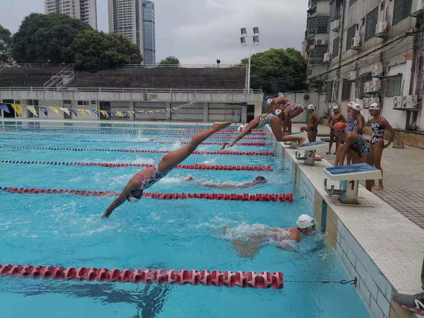 奥运会广东游泳实现"零的突破" 激励中山市体校游泳队