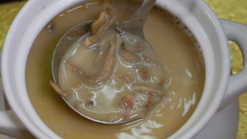 这一碗非常浓郁的禾虫汤,闻着已经非常鲜美了 .