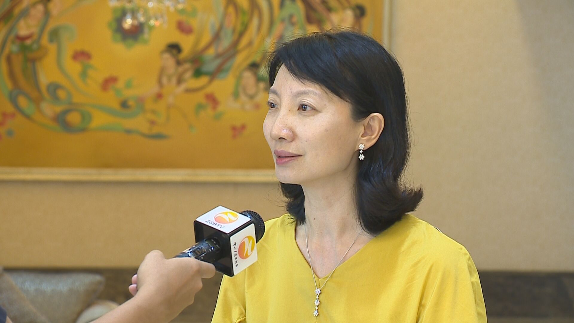 以第三方视觉 真实呈现 讲好中国故事