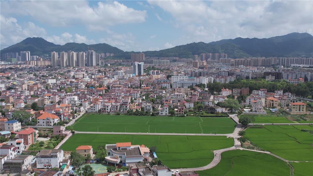 视频三乡镇桥头村数字化网格赋能美丽乡村建设