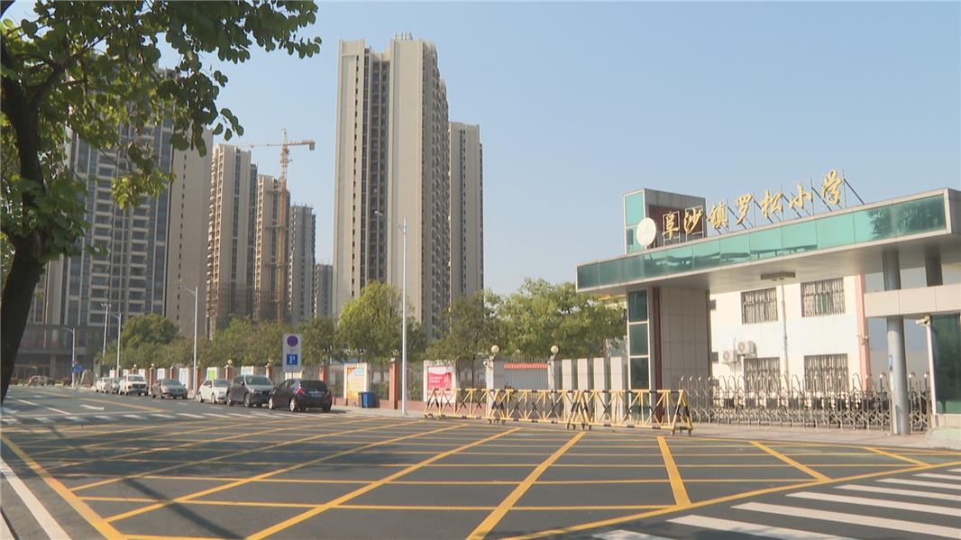 视频 | （学思想 强党性 重实践 建新功）阜沙镇罗松村：聚焦群众心中愁 推动老路“展新颜”
