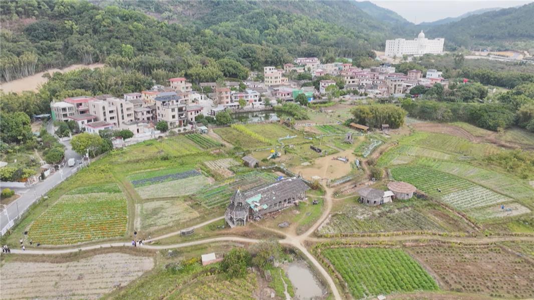 视频 | 五桂山桂南村:用好生态禀赋 激发乡村建设内生动力