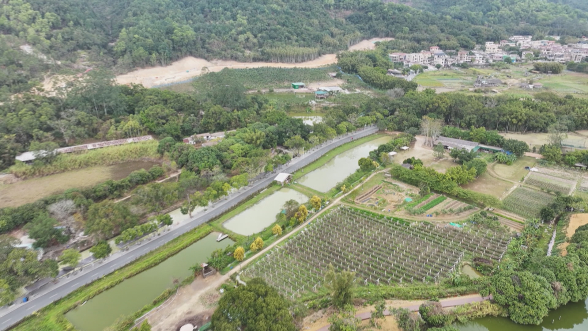 (文明村镇展风采 示范引领共建设)五桂山街道桂南村:文旅发展促绿美