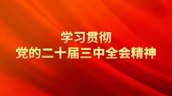 学习贯彻党的二十届三中全会精神