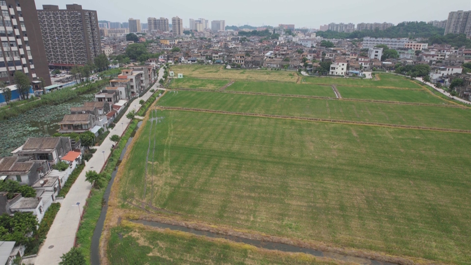 (学习贯彻党的二十届三中全会精神)中山:以文化赋能乡村振兴 奋力打造