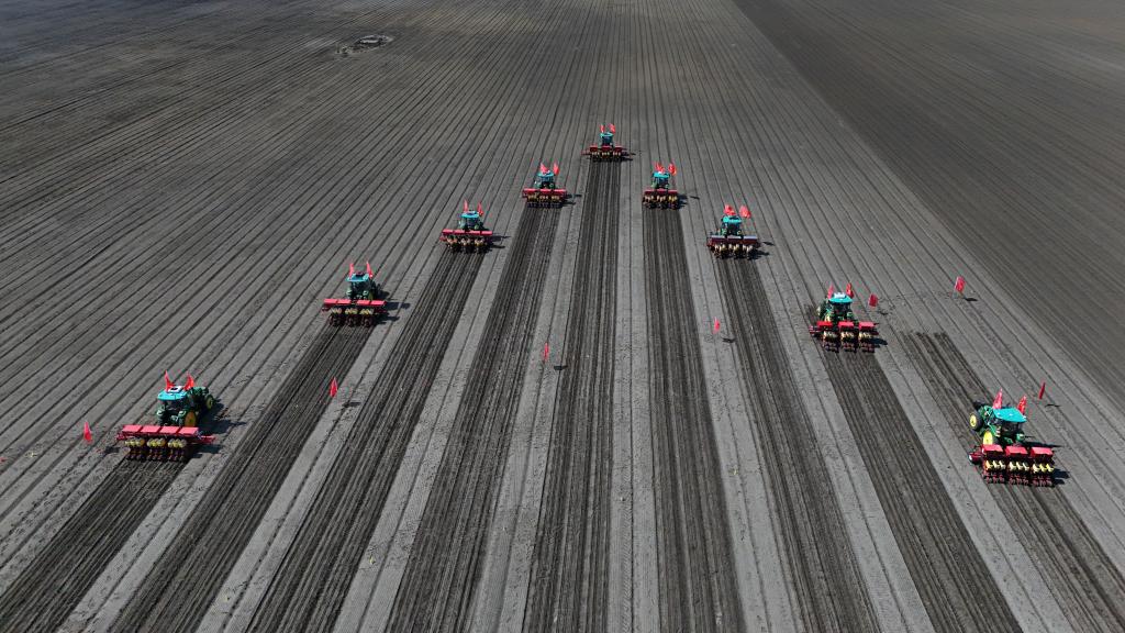 2025年5月8日,在黑龙江双鸭山一旱田地块,大马力农业机械准备在黑土地上进行大豆播种作业(无人机照片)。新华社记者 王松 摄