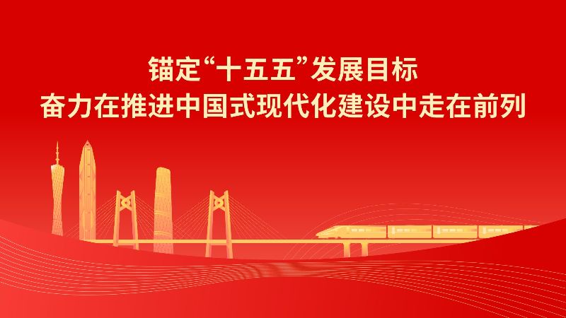 二十届四中全会精神